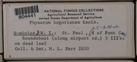 Image Associated With the Occurence